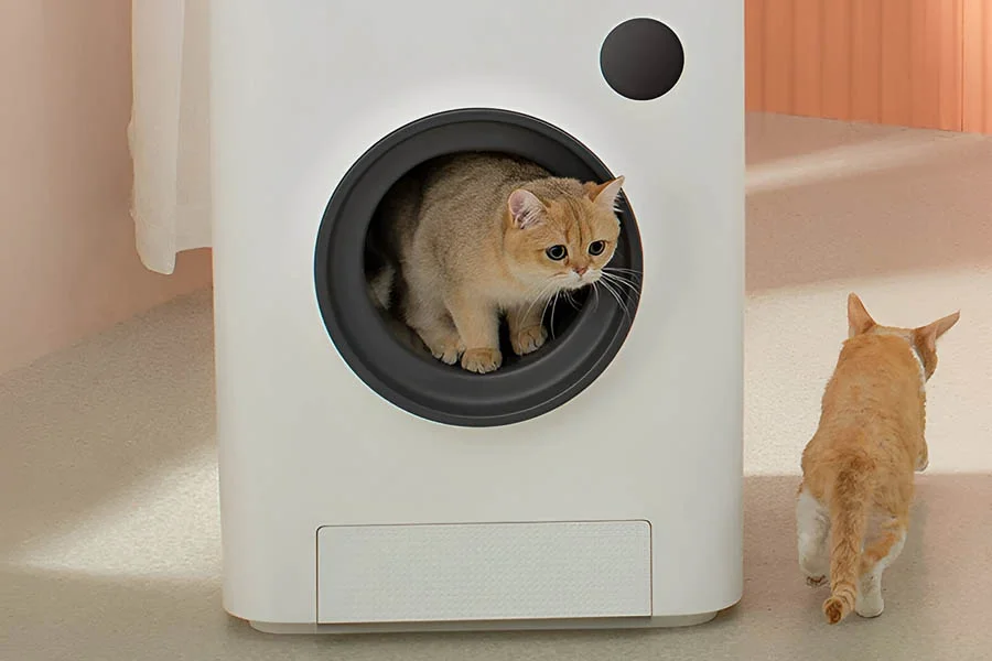 best cat litter box for large cats